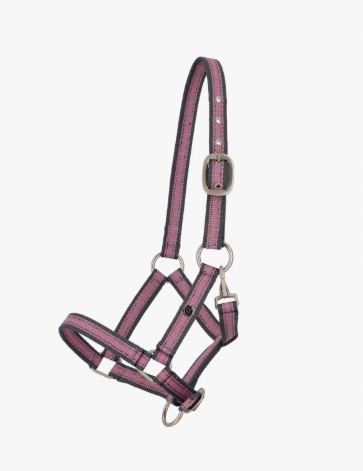 Kantar Cherry Foal Pink Qhp