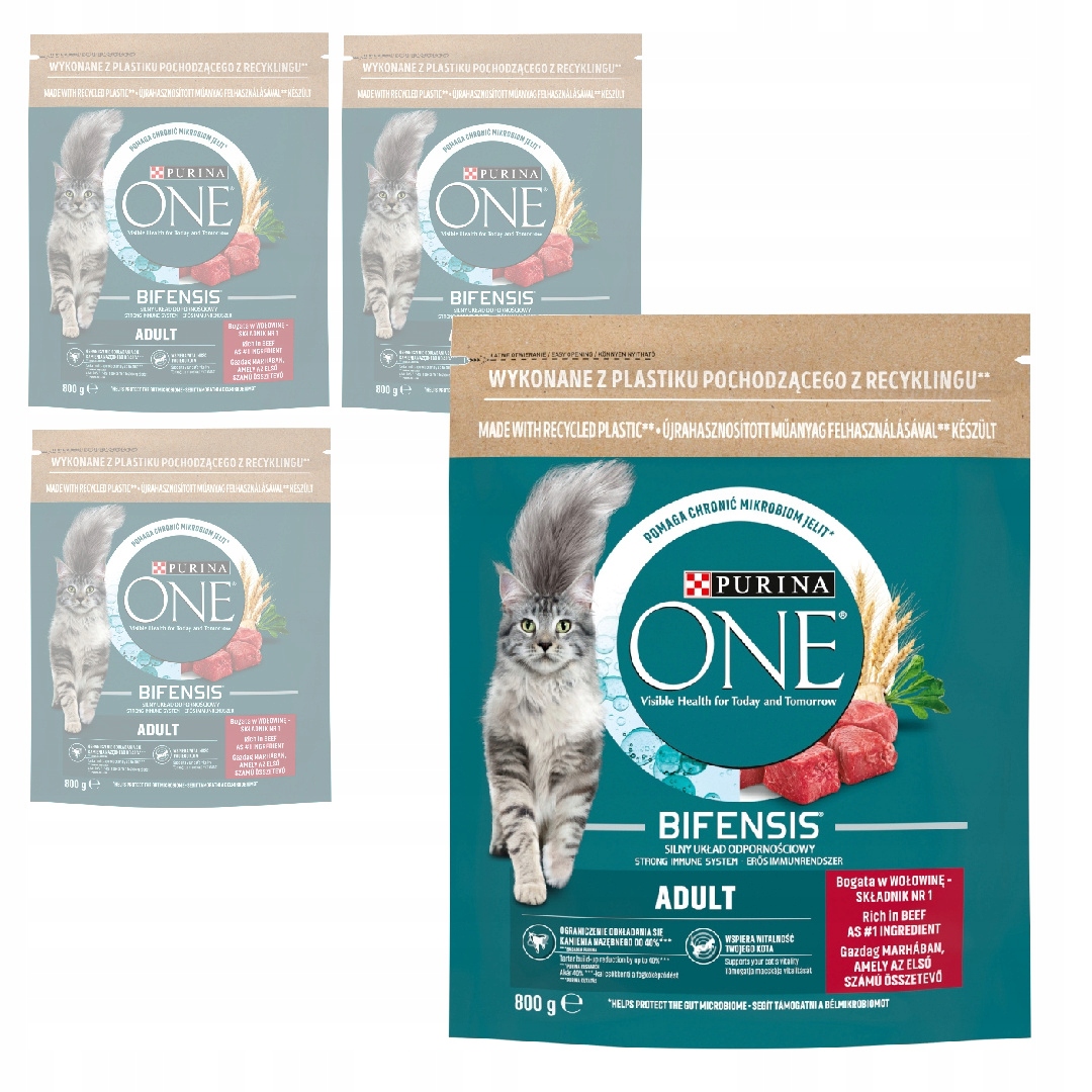 Levně Purina One Bifensis Adult 4x800g Suché Krmivo Pro Kočky s hovězím masem