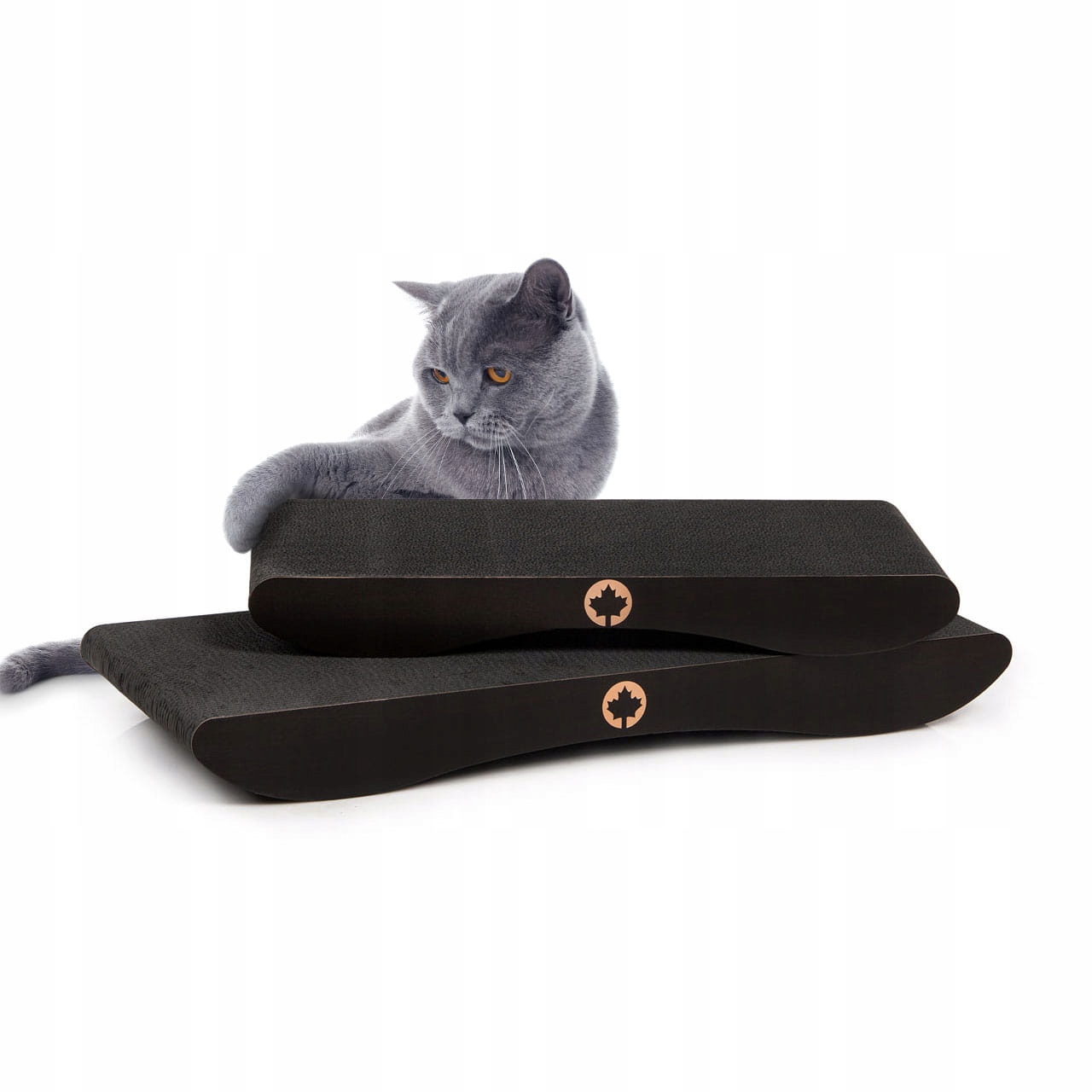 Levně Drapak Comet L Škrabadlo pro kočky Canadian Cat Black Edition Černé