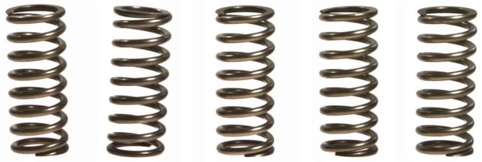 Spojkové pružiny Ebc Honda Vfr 800 00-16 Nové
