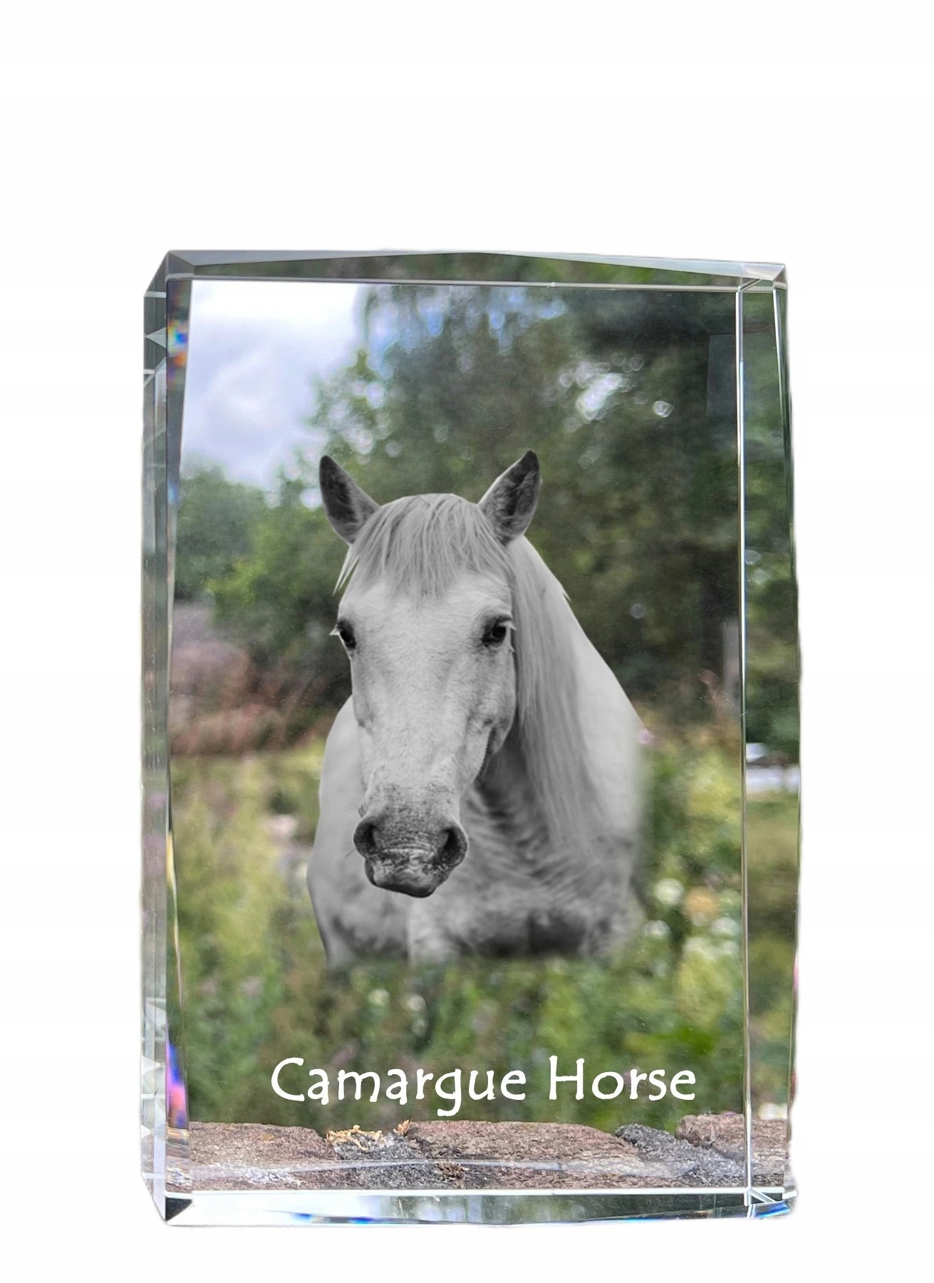 Kôň Camargue fotografia v kryštáli, suvenír, trofej, poďakovanie