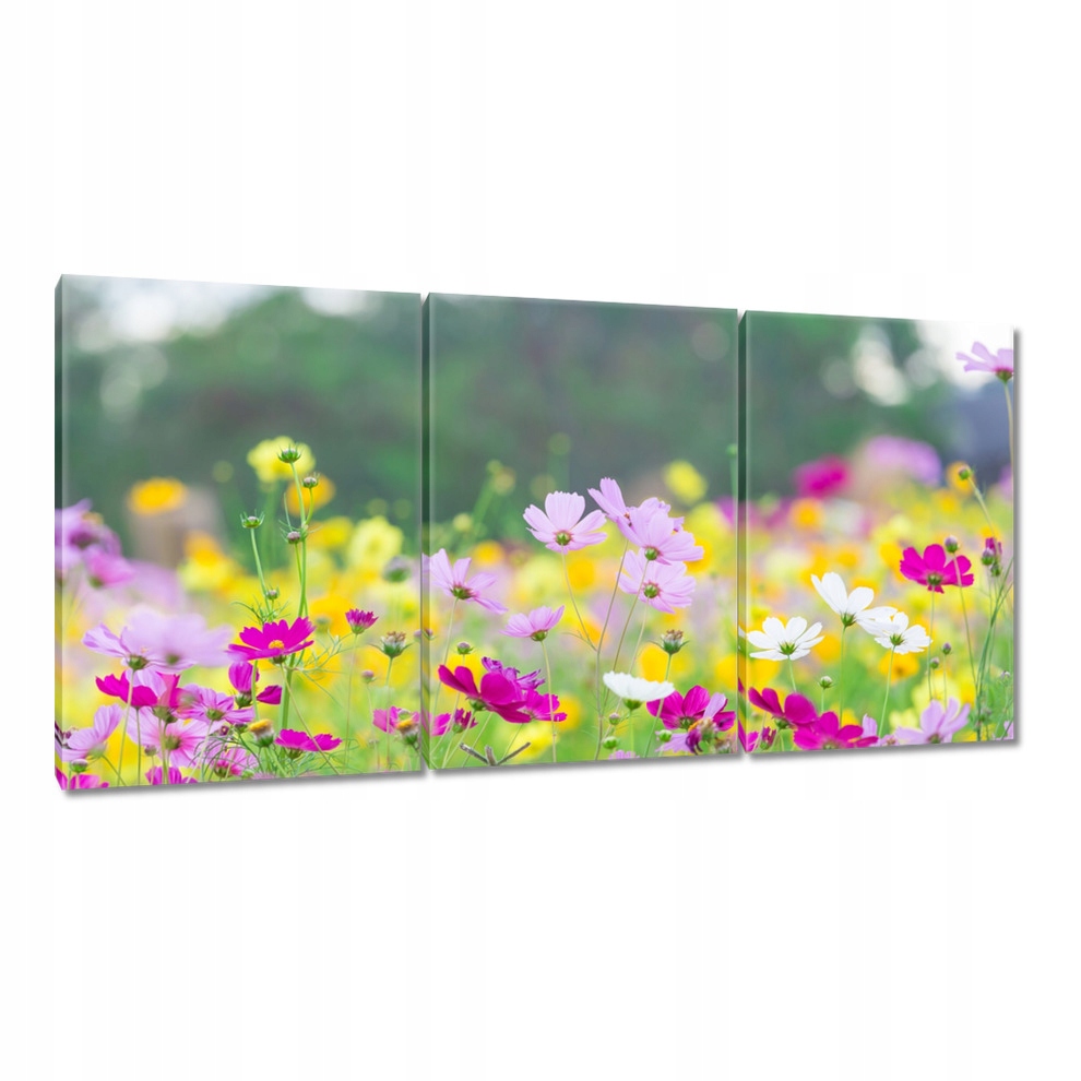 

Obrazy 120x60 Kwiatki Kwiaty
