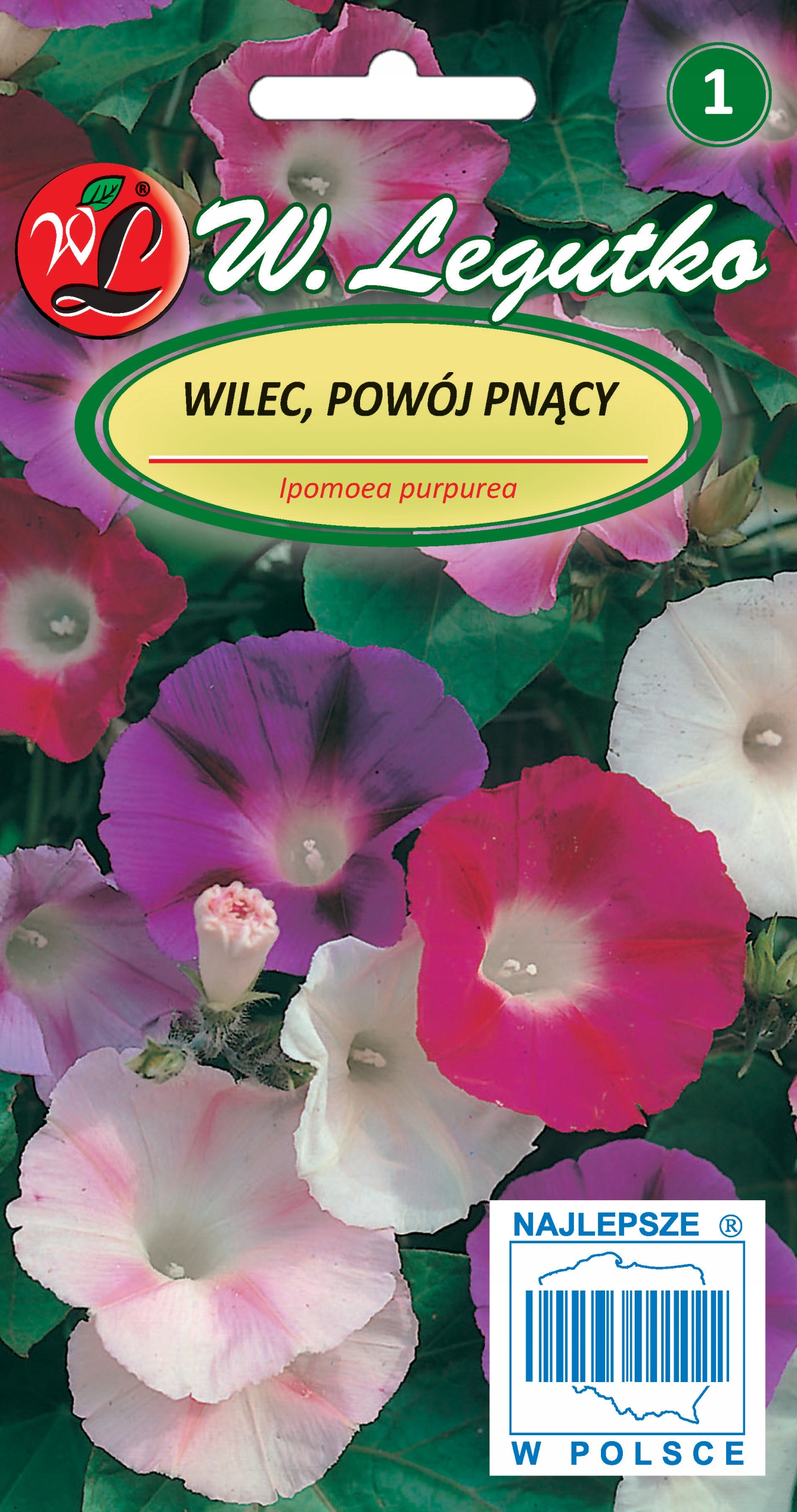 Wilec Powój pnący mieszanka Legutko 2g PNĄCZE INTENSYWNIE ROSNĄCE NASIONA