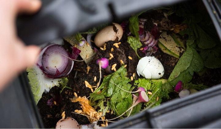 200szt Czerwone Robaki Dżdżownice Kalifornijskie Materiał wykonania inny