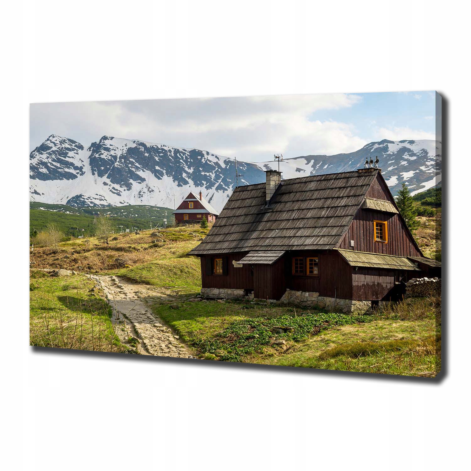 

Foto obraz canvas na ścianę Hale Tatry 100x70 cm