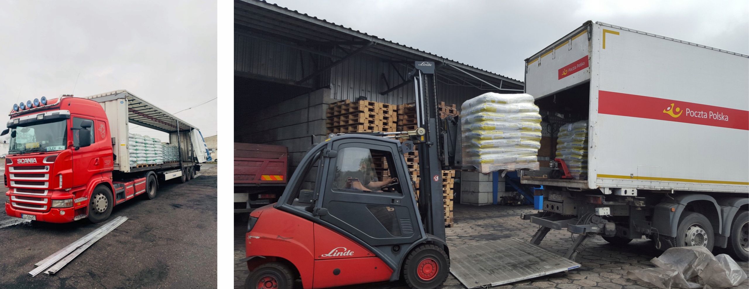 Groszek Plus EkoChamp Zielony 27-30MJ paleta 1t Marka inna