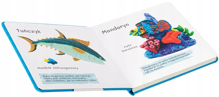 CO KRYJE MORZE? PLASTELINOWE ILUSTRACJE KSIĄŻKA 1+ Gatunek Literatura dziecięca