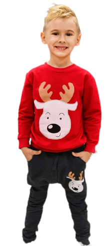 Set, reindeer christmas gift Santa Claus ru 104