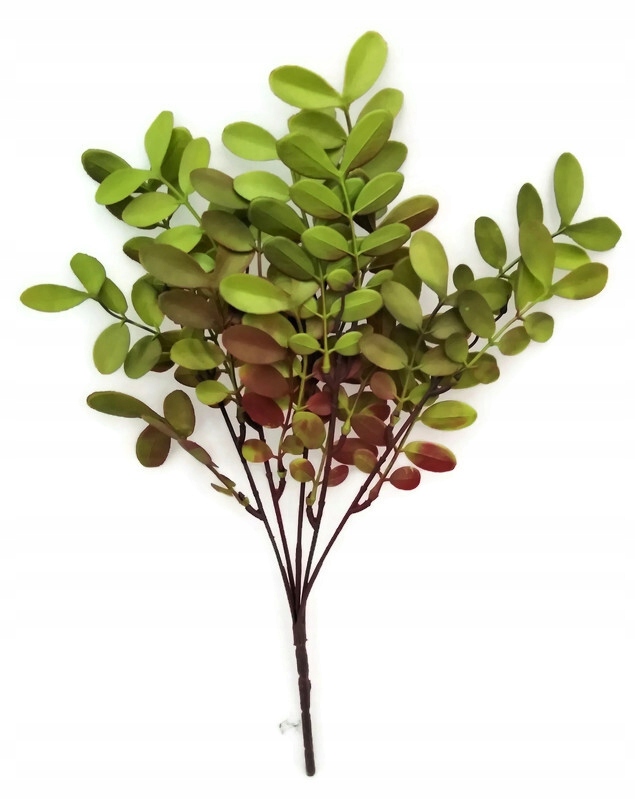 

Murraja wiechowata sztuczna Gałązka liście 36 cm