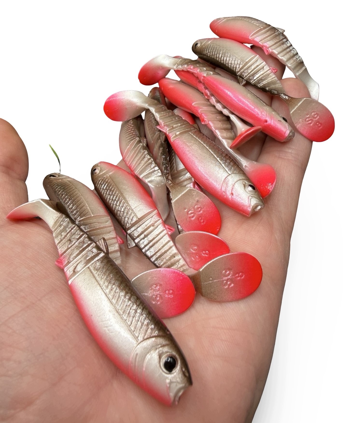 Limitowany Savage Gear Cannibal CL Roach Guma Na Okonia 8cm 1szt