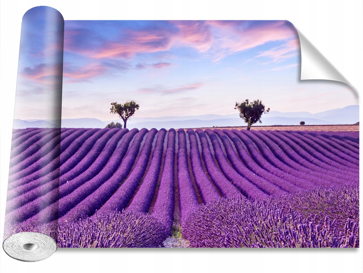 

Fototapeta Samoprzylepna Pole lawendy 416x254