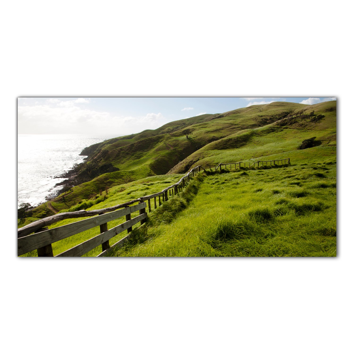 

Hartowany Obraz Szklany Owca Nowa Zelandia 120x60