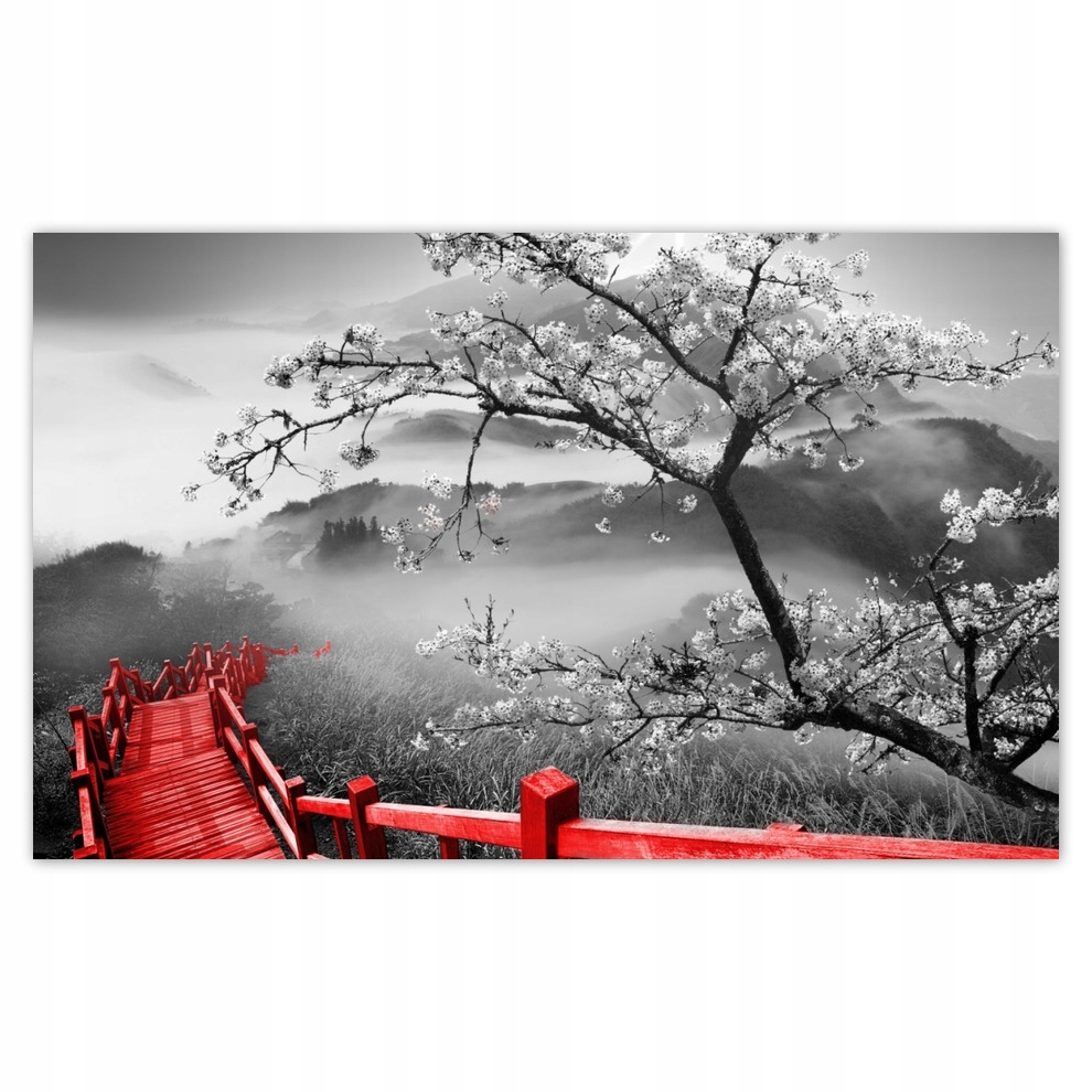 

Fototapety flizelina 416x254 Kwitnąca wiśnia