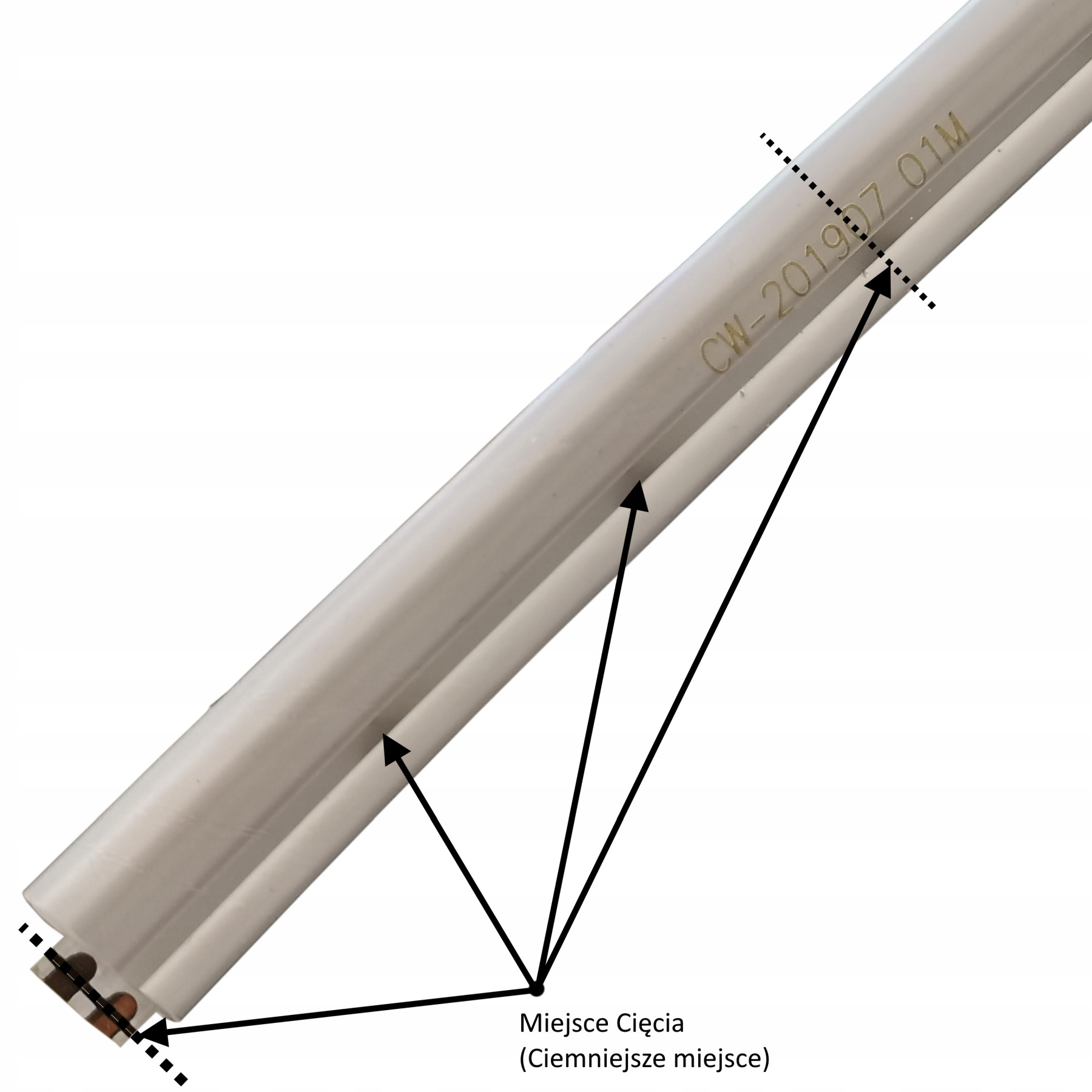 ZESTAW Neon FLEX LED 5m IP65 ZASILACZ Biała Zimna Długość 5 m