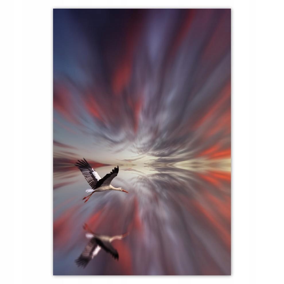 

Plakat samoprzylepny 40x60 Zwierzęta Zwierzątka