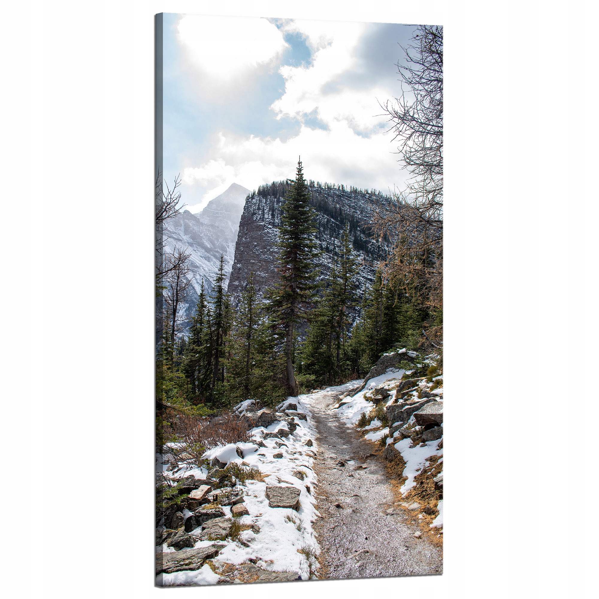 Obraz Canvas Příroda Horská stezka Tatry 60x120 cm