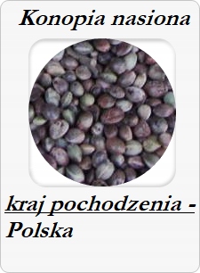 Konopie nasiona ZIARNO 5,0 kg. na ryby Rodzaj konopia nasiona