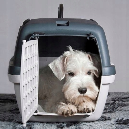 TRANSPORTER GULLIVER 3 DLA PSA KOTA KR&Oacute;LIKA Rozmiar L