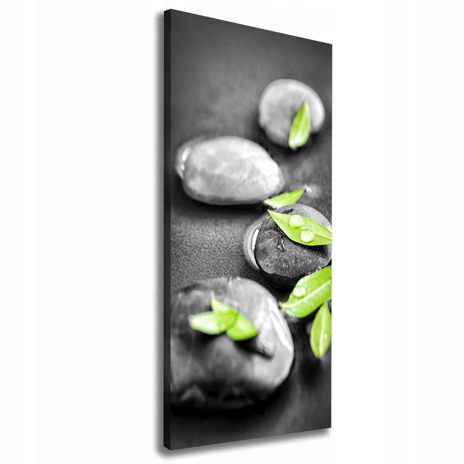 

Foto obraz na płótnie Liście kamienie zen 50x125cm