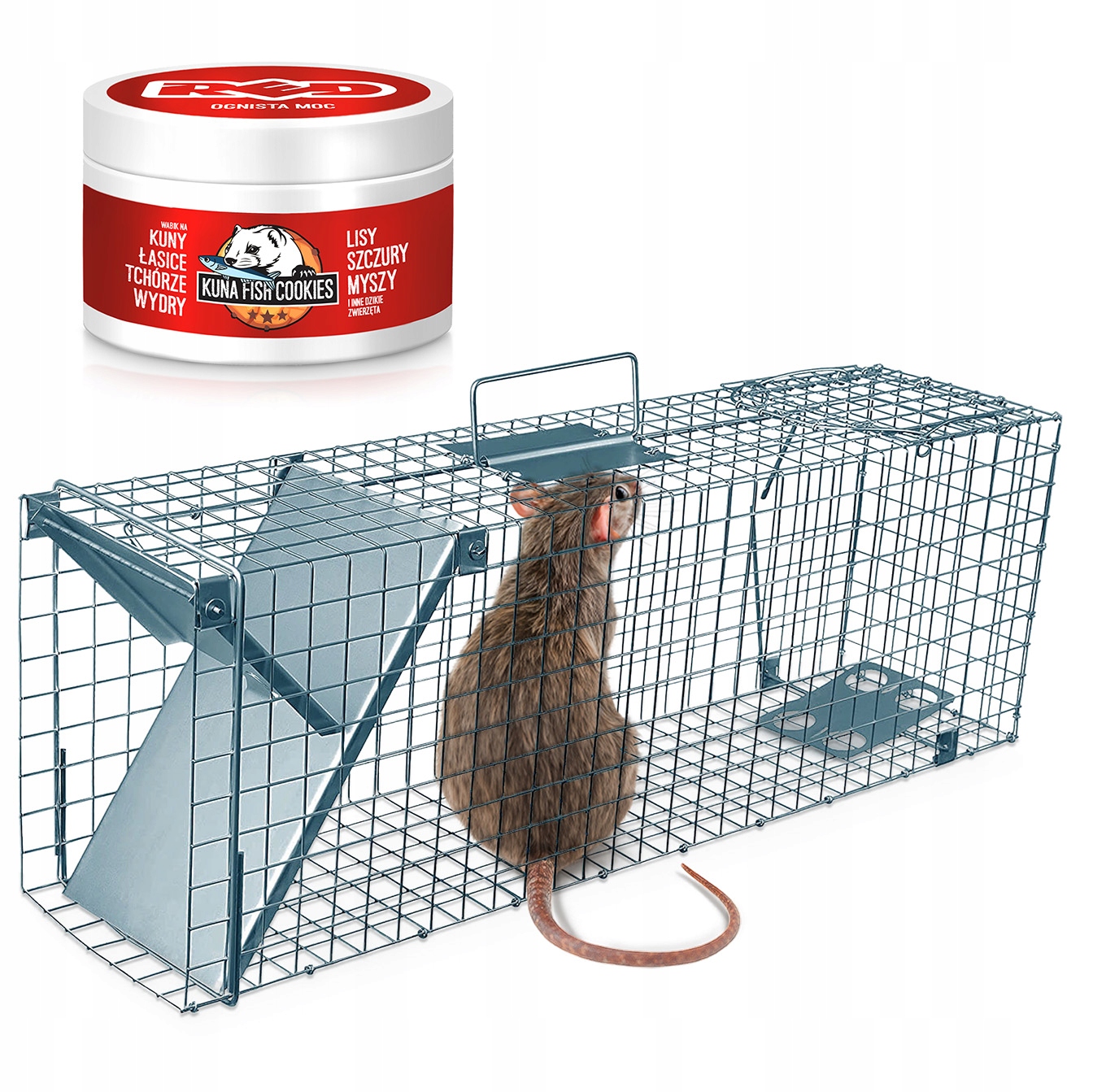 Pułapka Na Szczury Szczurołapka 50x17x20 Klatka Na Gryzonie Szczury Wabik