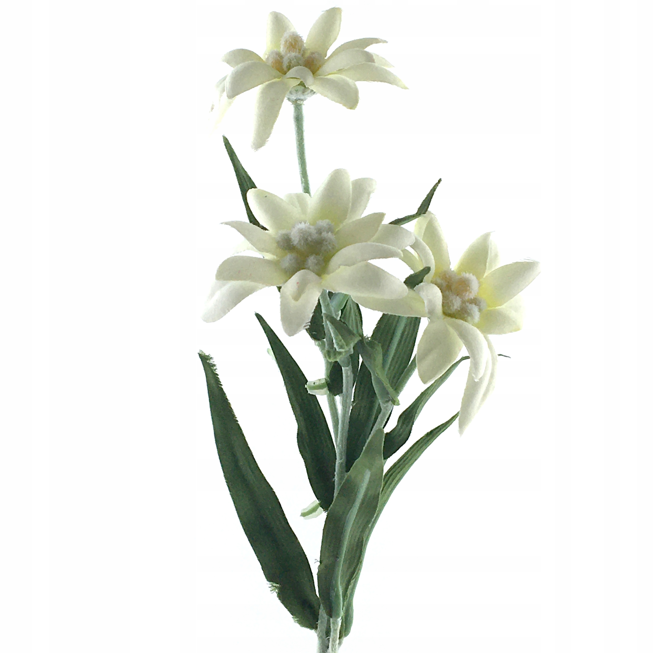 

Szarotka Gałązka Biała jak Żywa 28 cm