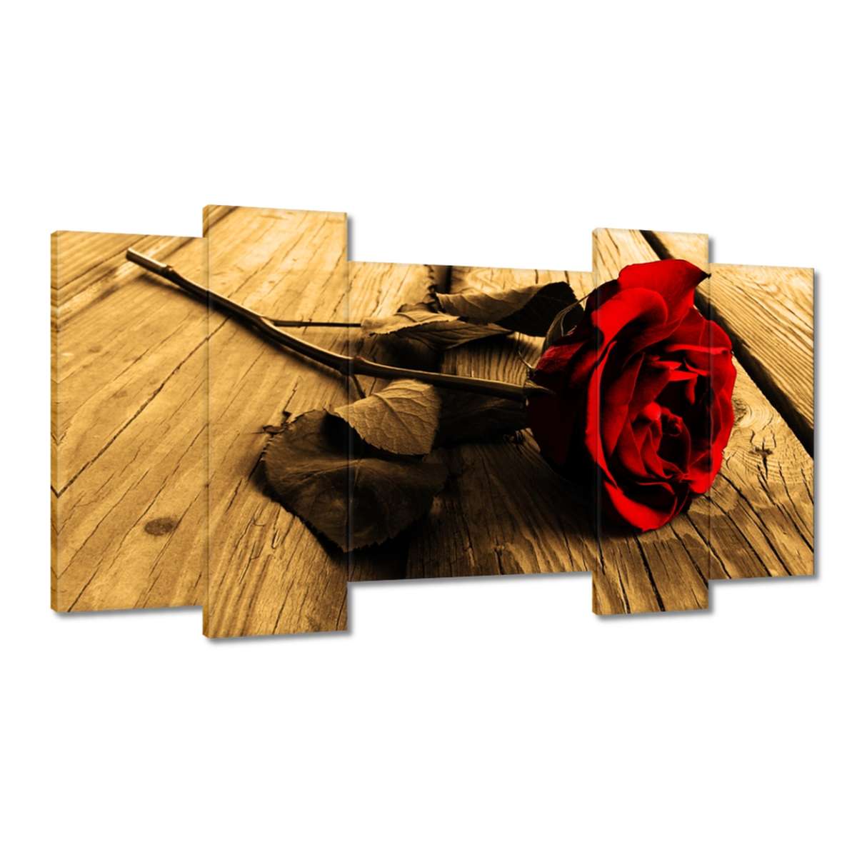 Obrazy 120x65 Růže na sépiových deskách