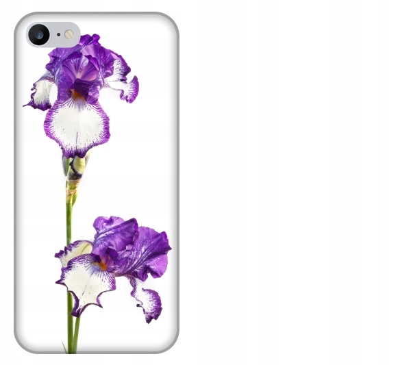 

Etui pokrowiec iPhone 7 Kwiat fioletowy akwarela