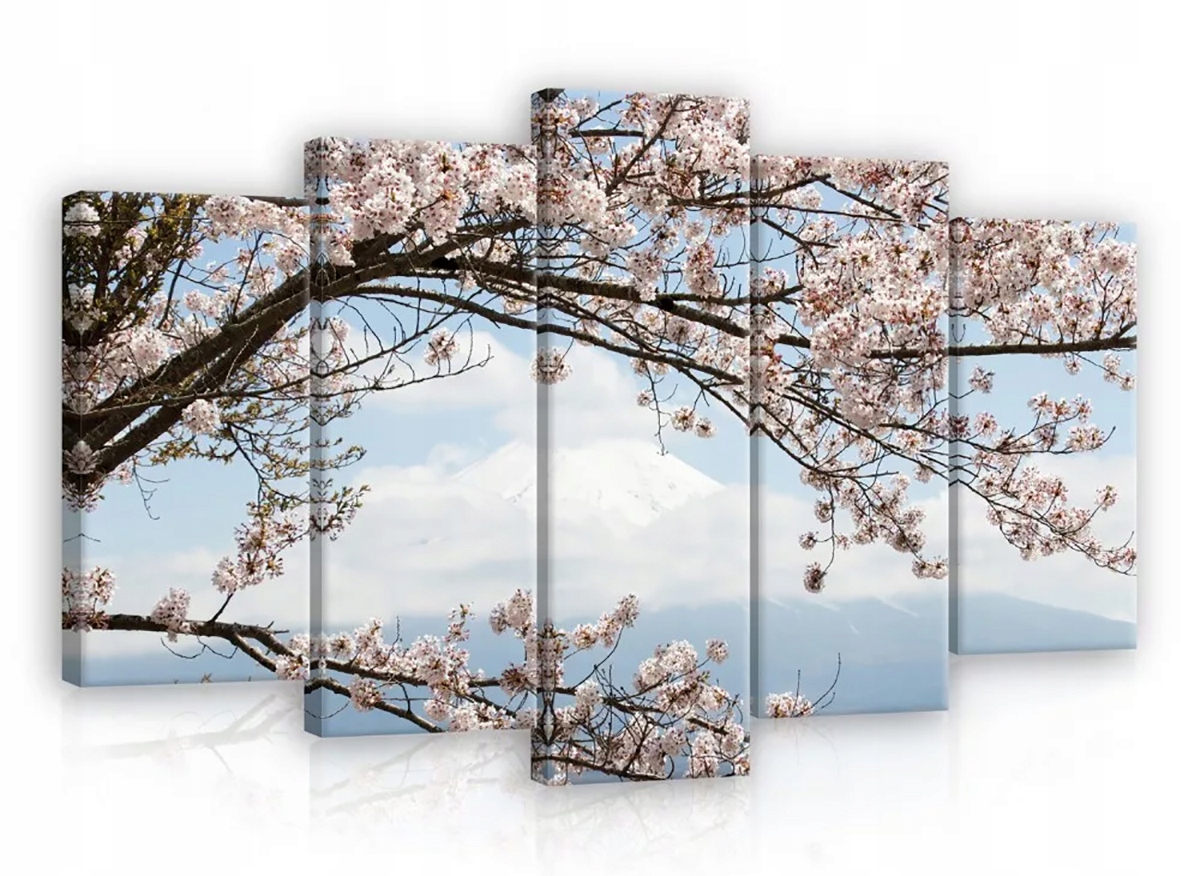 Obraz Na Plátně Canvas 100x60 Hora Fudži Višeň