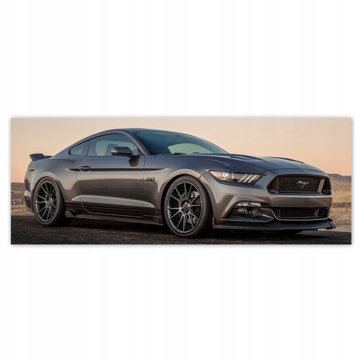 Fototapety 250x93 Ford Mustang vyrobené v Usa