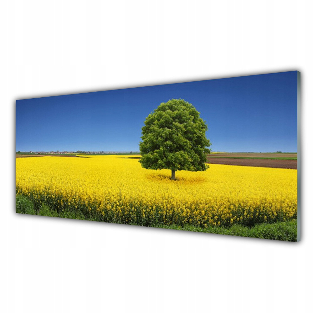 

Fotoobraz wiszący 125x50 Łąka Drzewo Natura Pole
