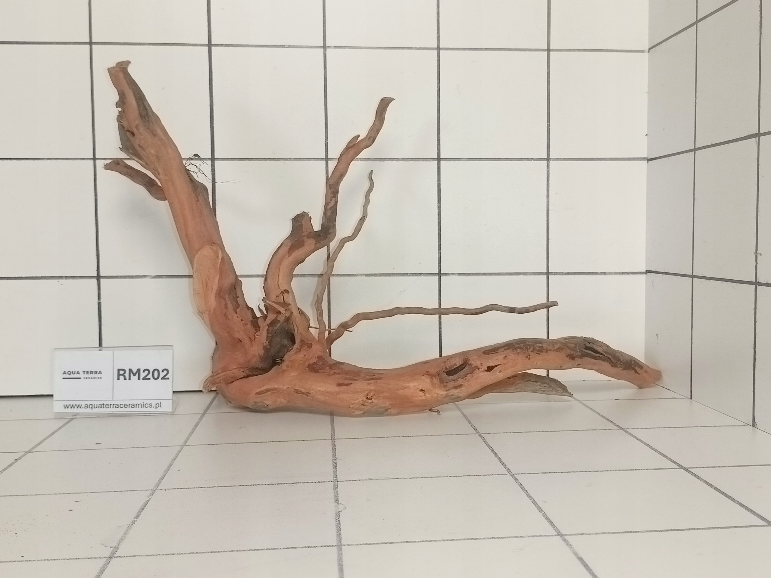 Korzeń Japoński Do Akwarium Terrarium Red Moor RM202 (to co na zdjęciu)