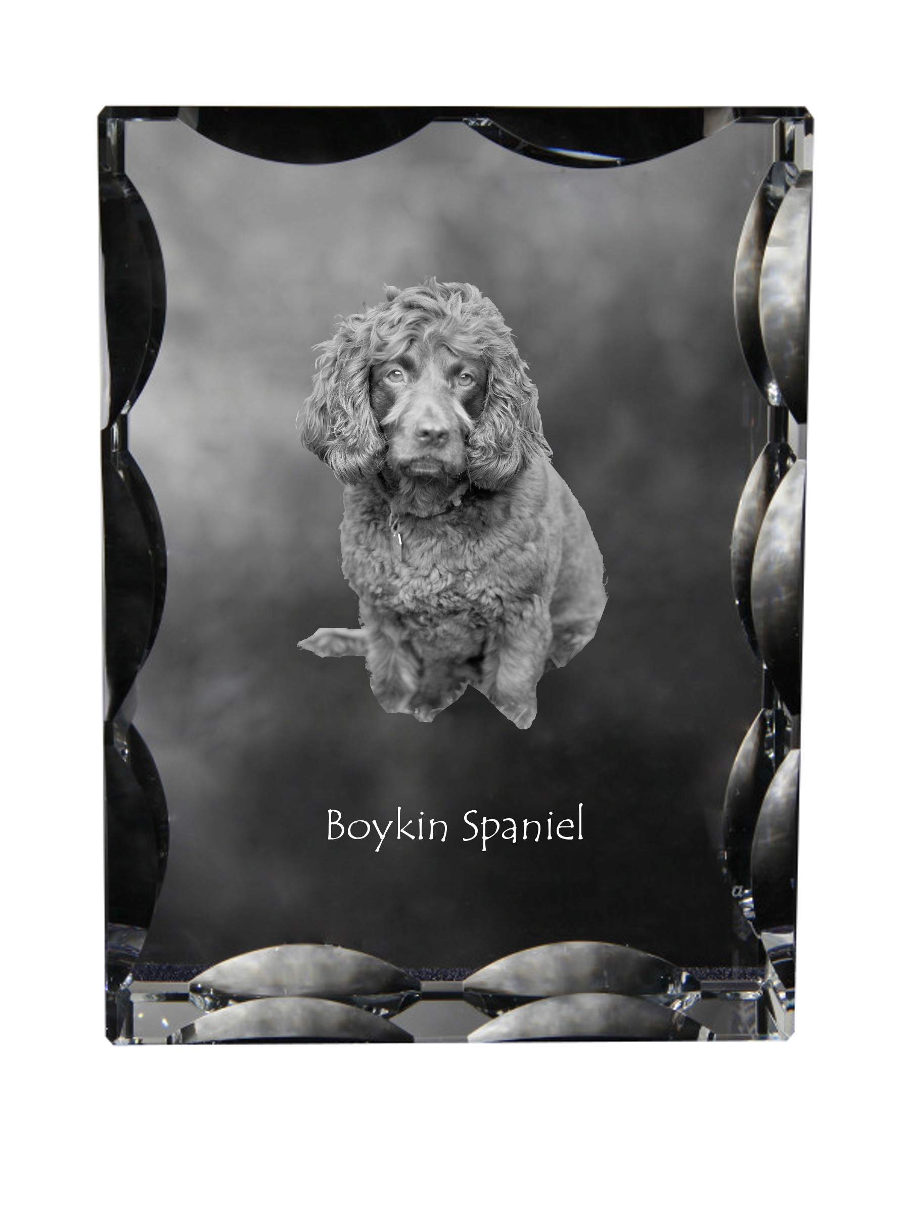 Boykin Spaniel fotografia psa v ozdobnom kryštáli, suvenír, dekorácia domu