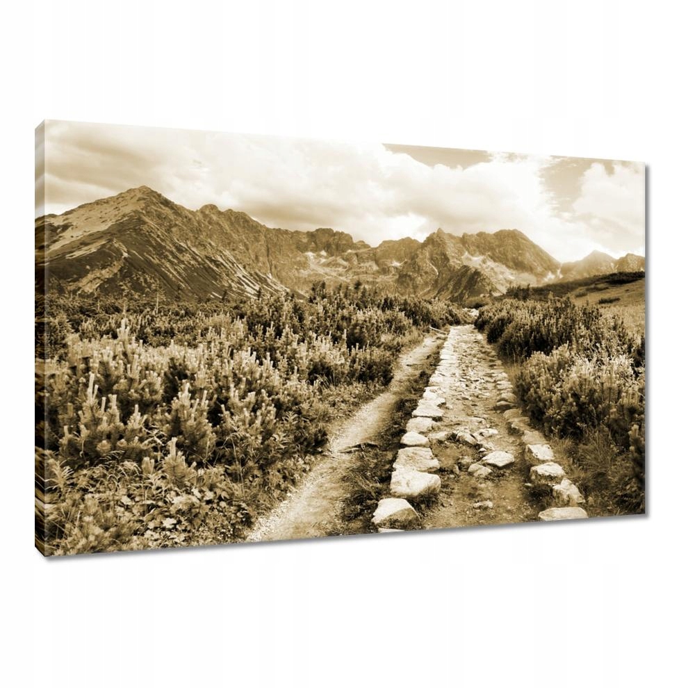 

Obrazy 90x60 Tatry Polskie góry Widok