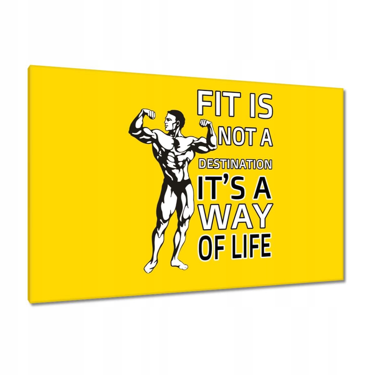 Obrazy 120x80 Fit jsou na cestě životem