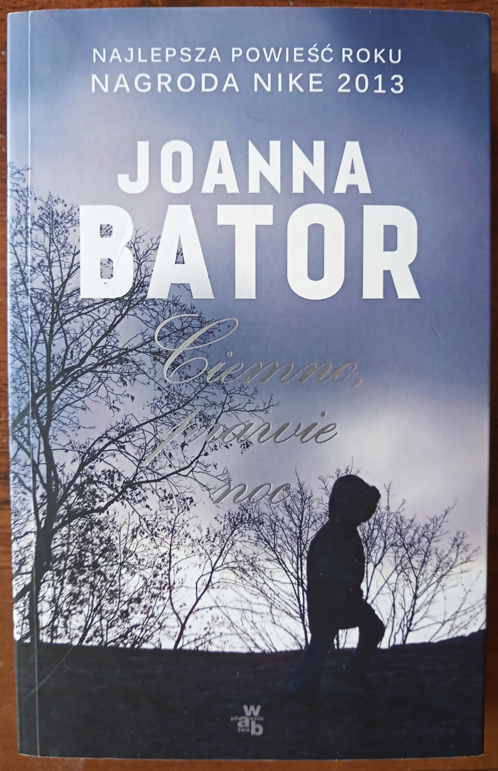 Ciemno, prawie noc. Joanna Bator