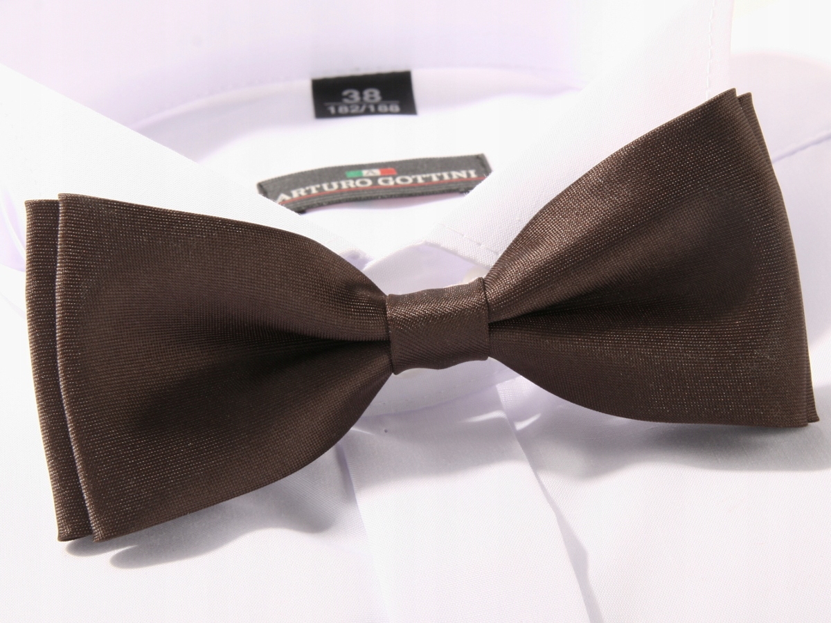 MUCHA MUSZKA MĘSKA BRĄZOWA W PUDEŁKU Model m1-47