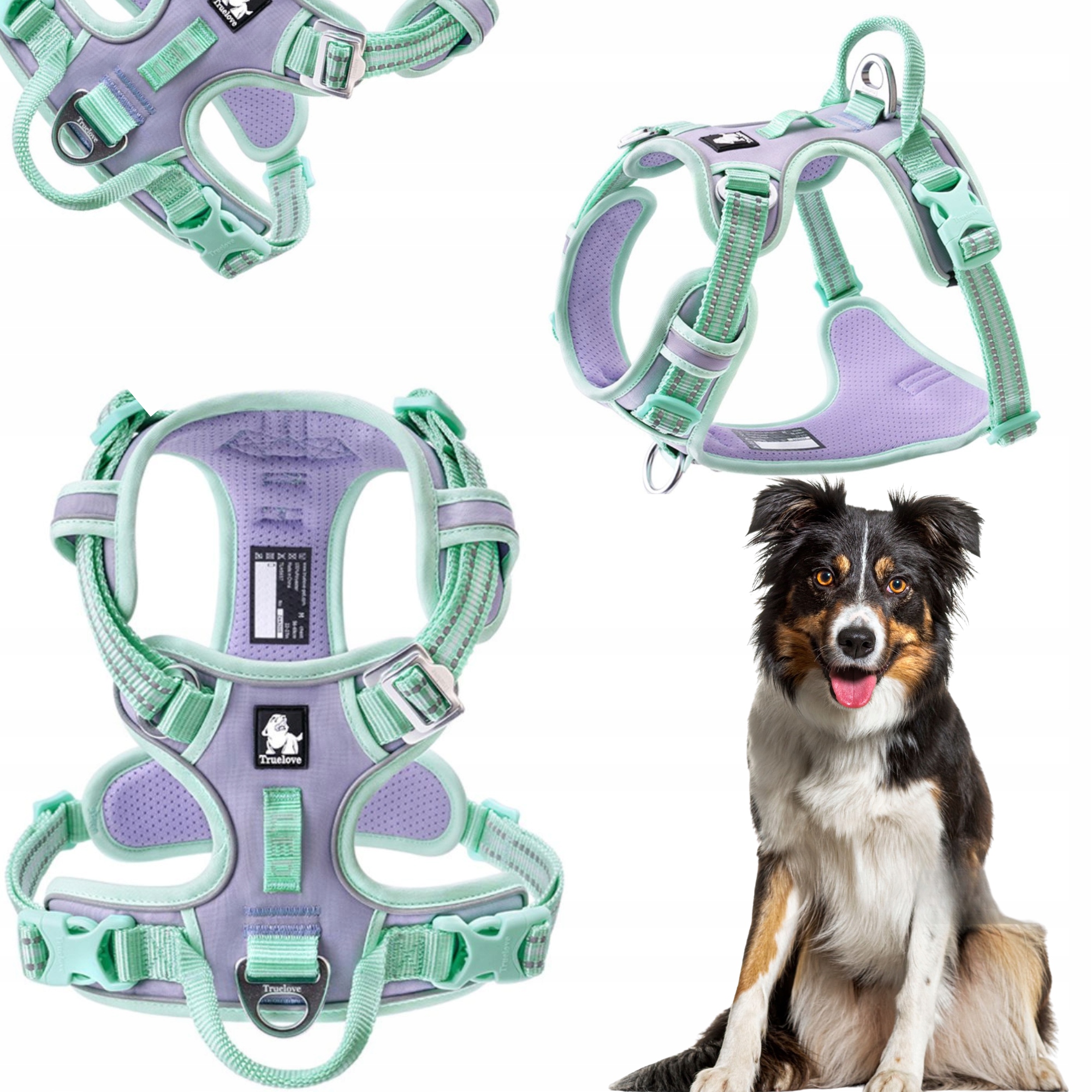 Szelki Dla Psa Easywalk Truelove Front Line Premium Cordura Liliowe L