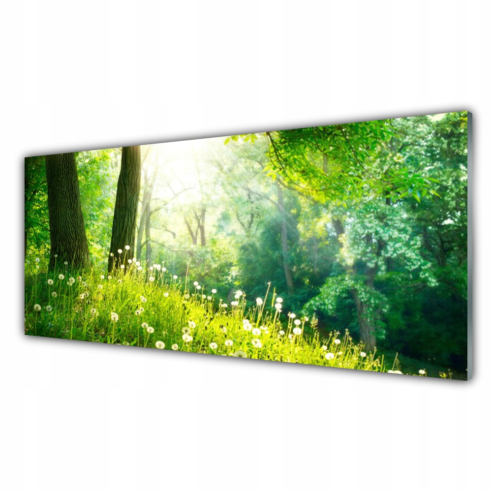 

Fotoobraz akryl ścienny 125x50 Łąka Natura Roślina