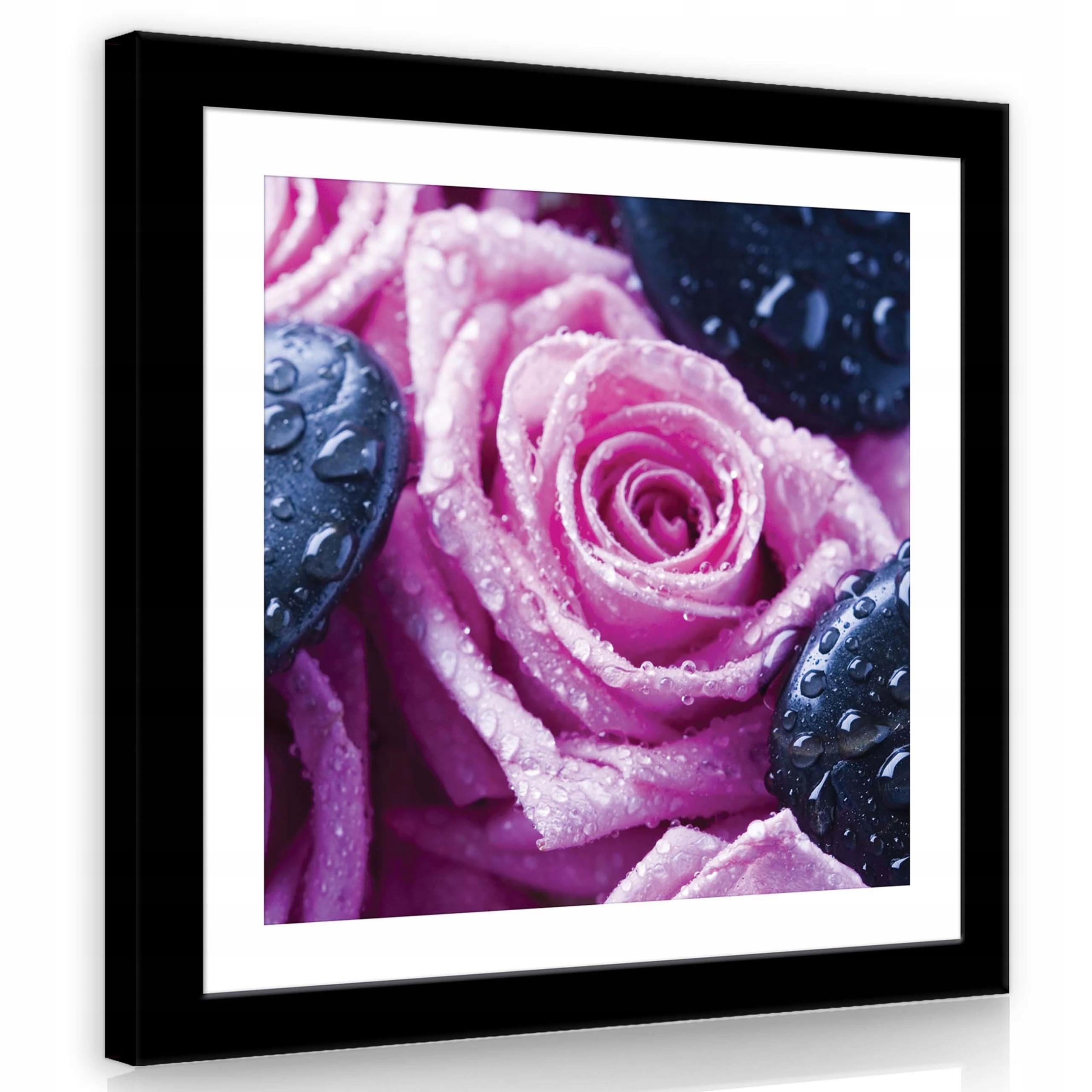 Obraz 80x80 Čajové růže kapky vody hladké kameny svěžest klid