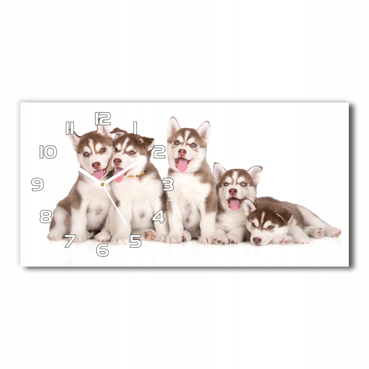 Sklenené nástenné hodiny Šteniatka Husky 60x30 cm
