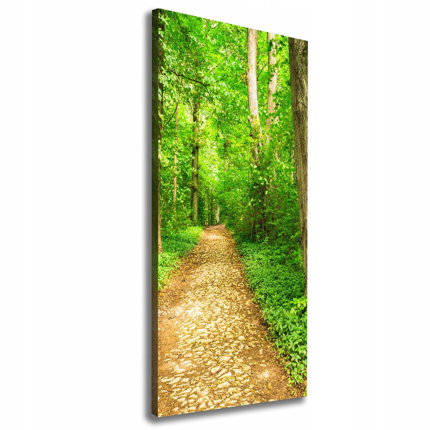 

Foto obraz na płótnie Ścieżka w lesie 50x125 cm
