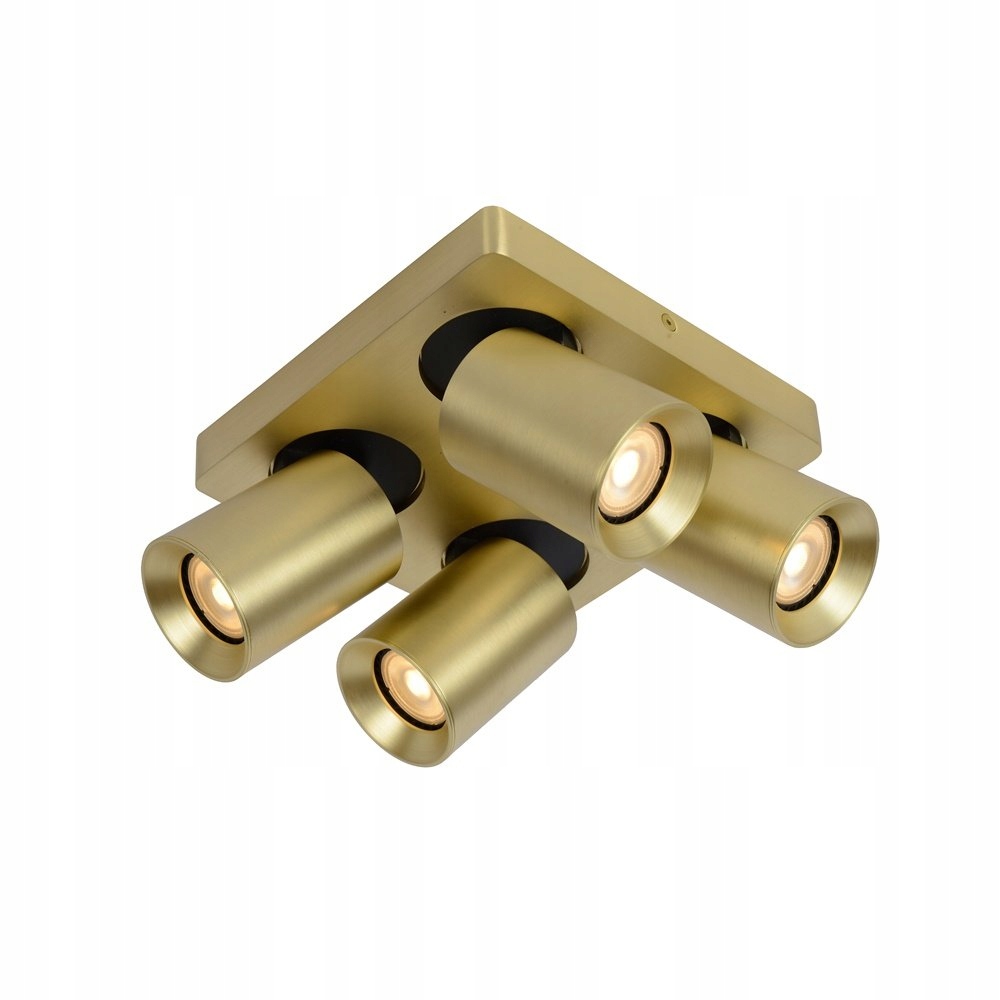 Spotová reflektorová lampa Nigel 09929/20/02 Lucide