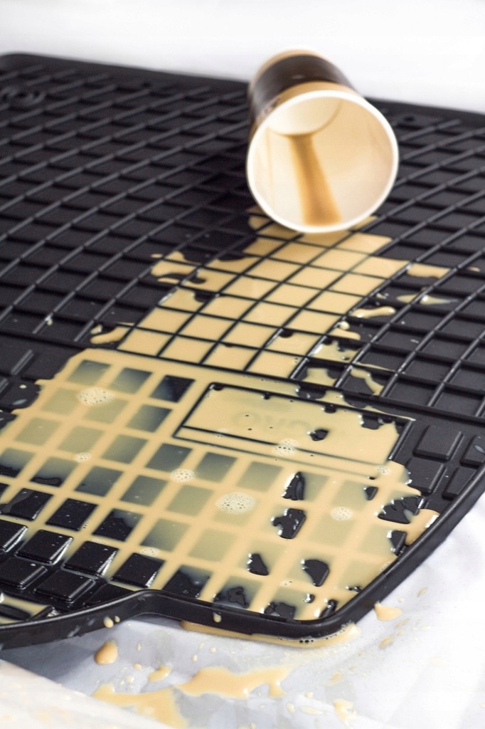 Dywaniki FroGum RENAULT CLIO V od 2019- Producent Frogum