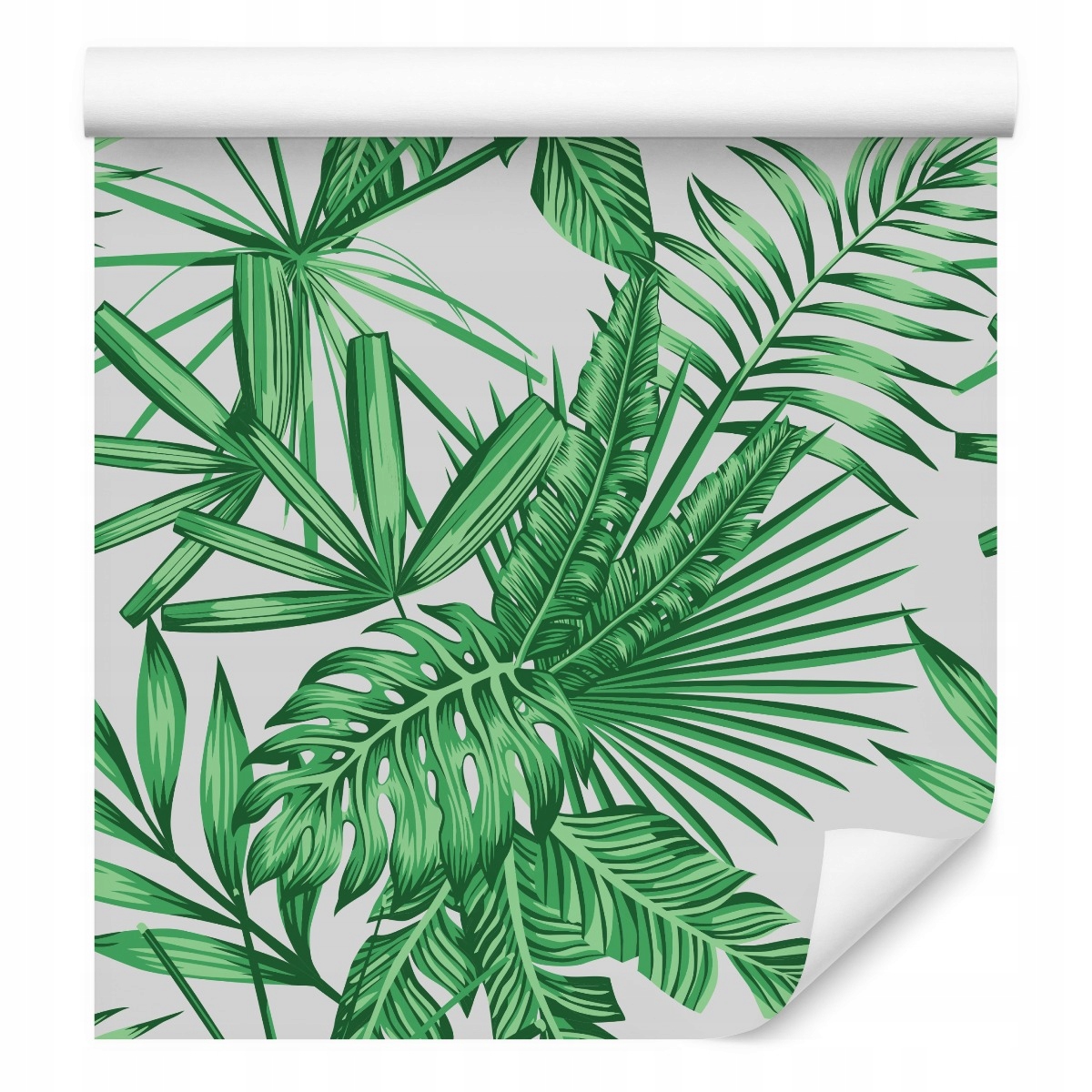 Tapeta do obývacího pokoje s palmovými listy monstera zeleň