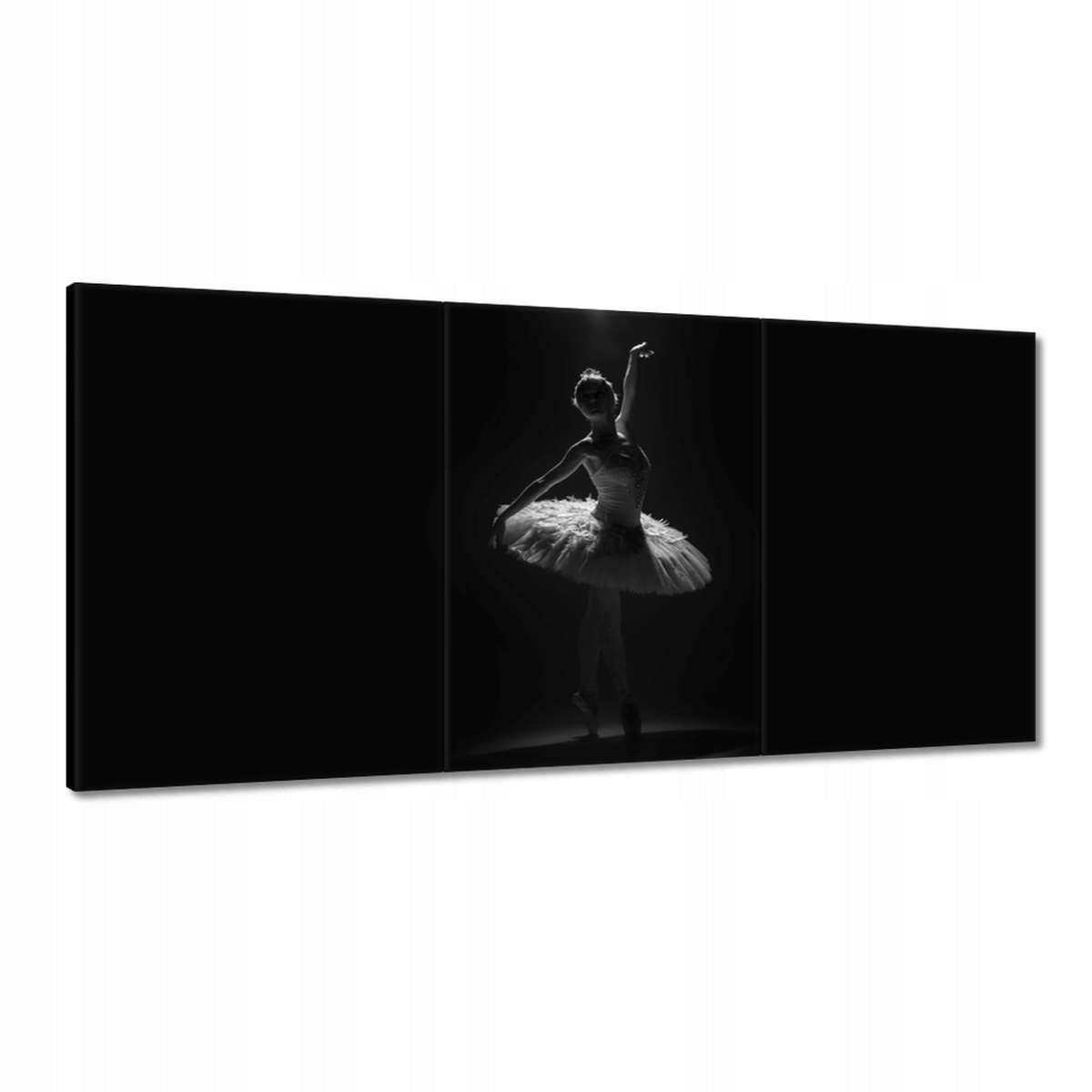 Obrazy 180x90 Baletka v tutu Tanečnica