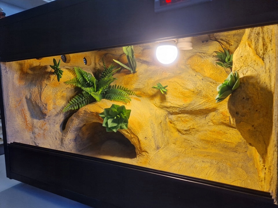 Terárium Pro Gekona Na Objednávku 60x40x40 Ovladač Topení