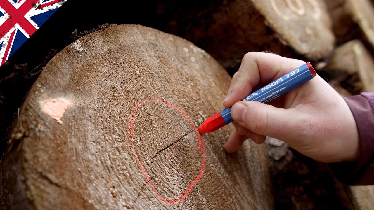 LYRA KREDA TECHNICZNA DO ZNAKOWANIA WOSKOWA BIAŁA Typ kreda