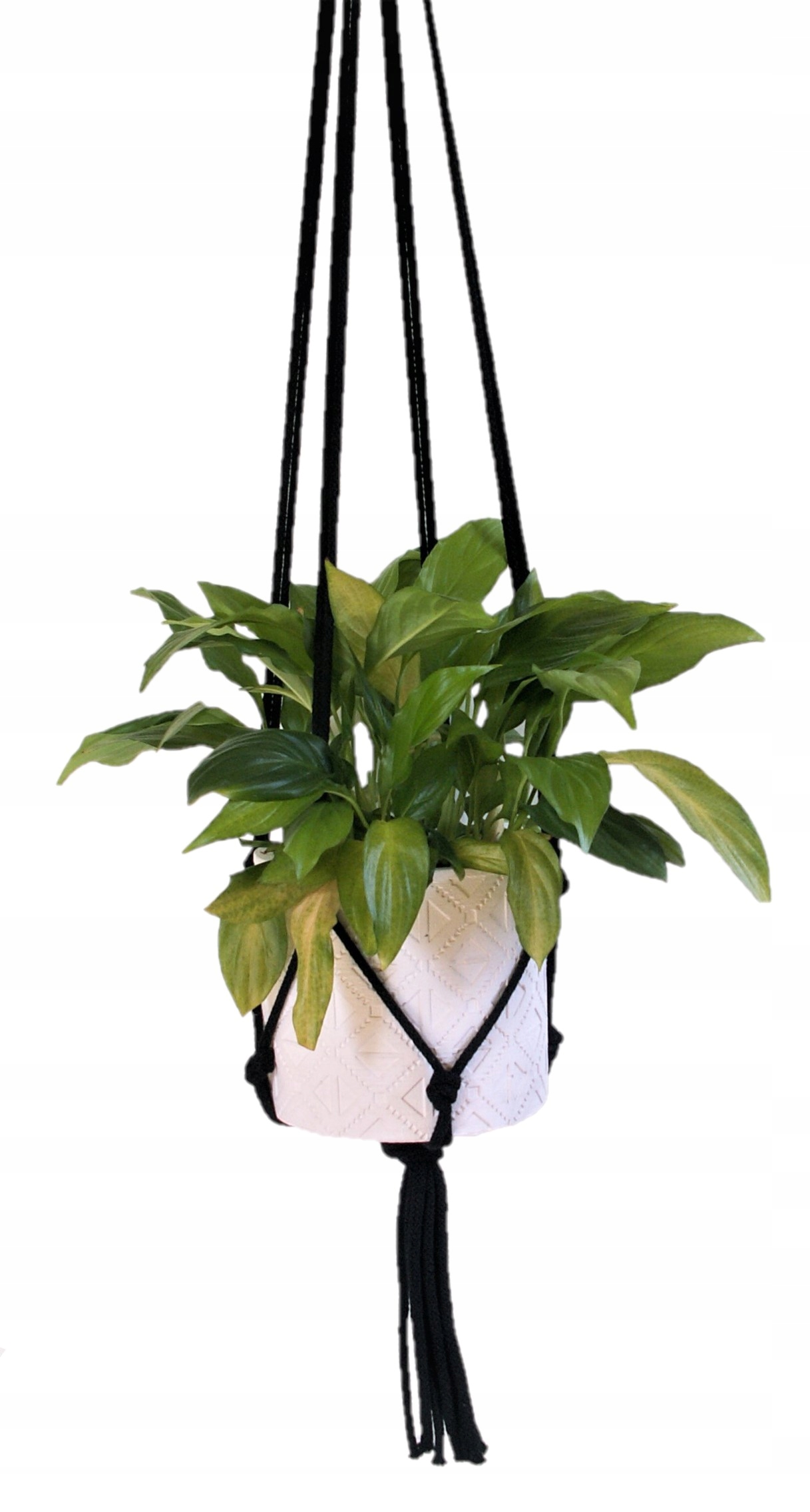 

Makrama, kwietnik wiszący ze sznurka.