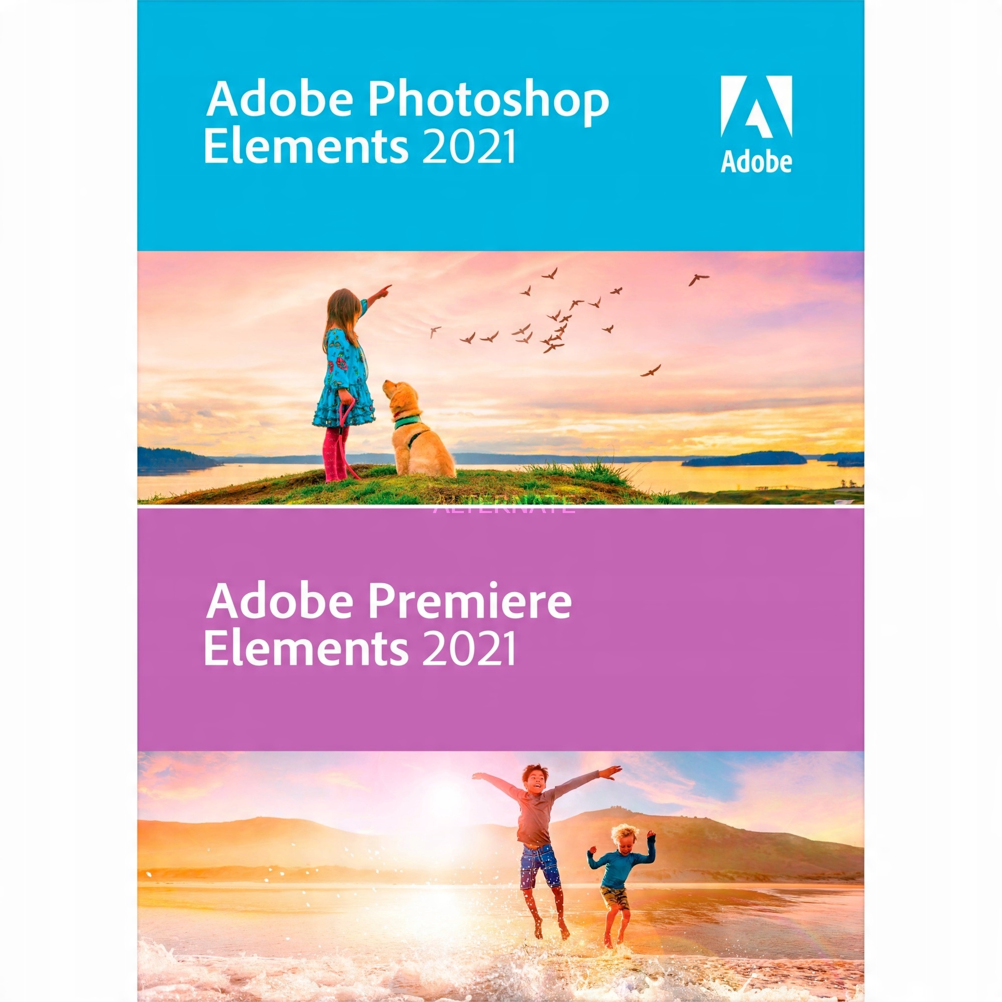 

Adobe Photoshop & Premiere Elements 2021 Pl