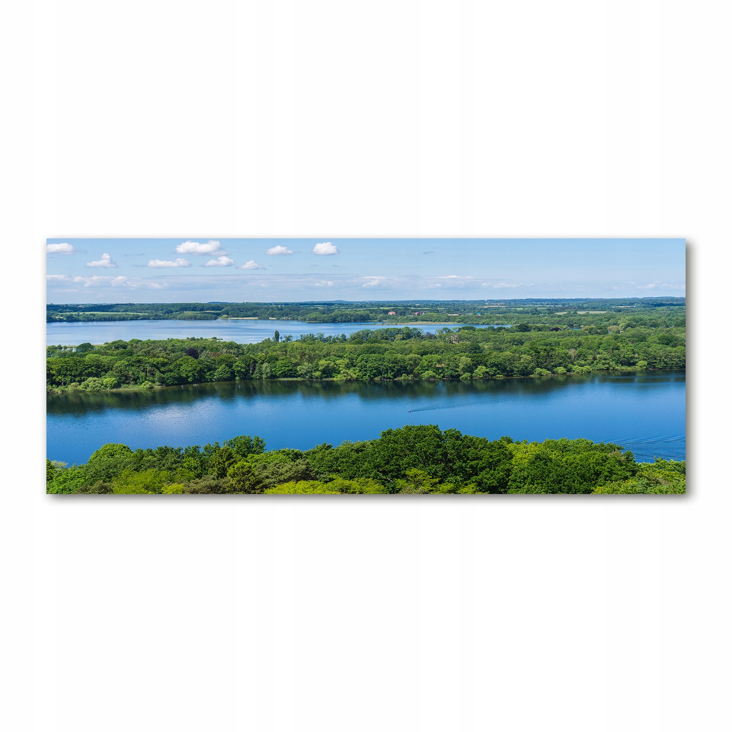 

Foto obraz szkło akryl Las nad jeziorem 125x50 cm